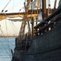 DSC05655 DSC05655